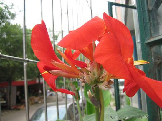 佳能时尚DC IXUS 50试用手记