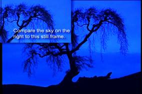 Avivo全面爆发——ATi视频特性测试